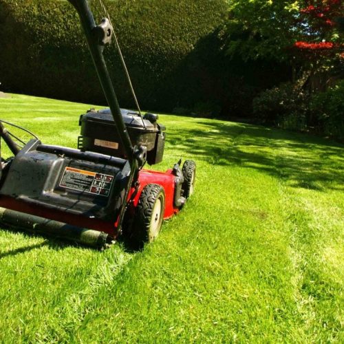 Lawn Care & Maintenance